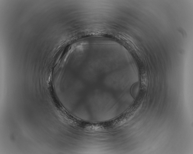 X0000111200503200907221133