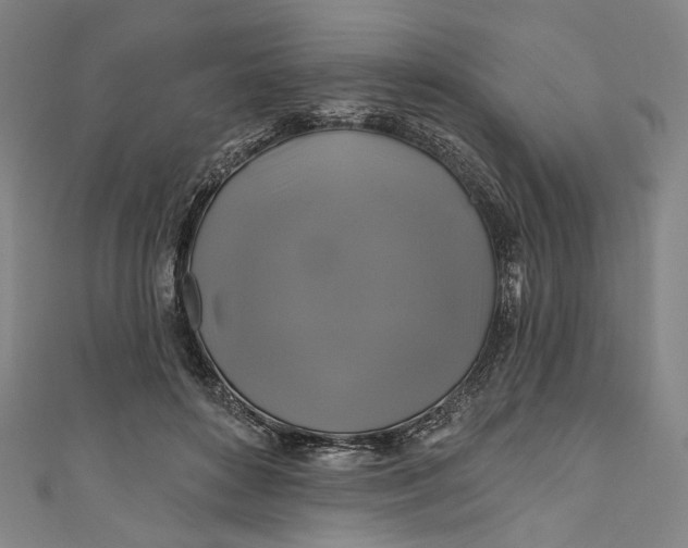 X0000111200504200907221133