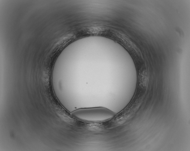 X0000111200505200907221133