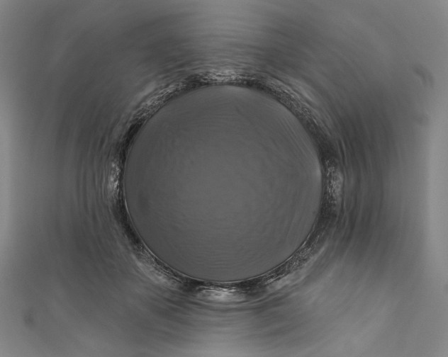 X0000111200507200907221133