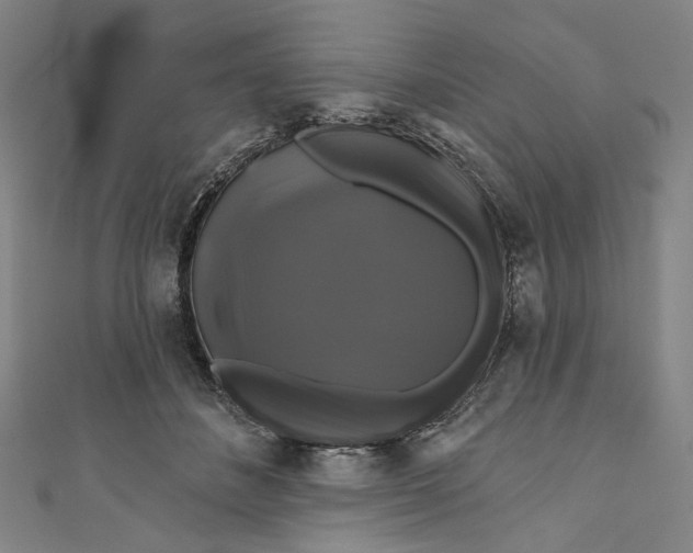 X0000111200508200907221133