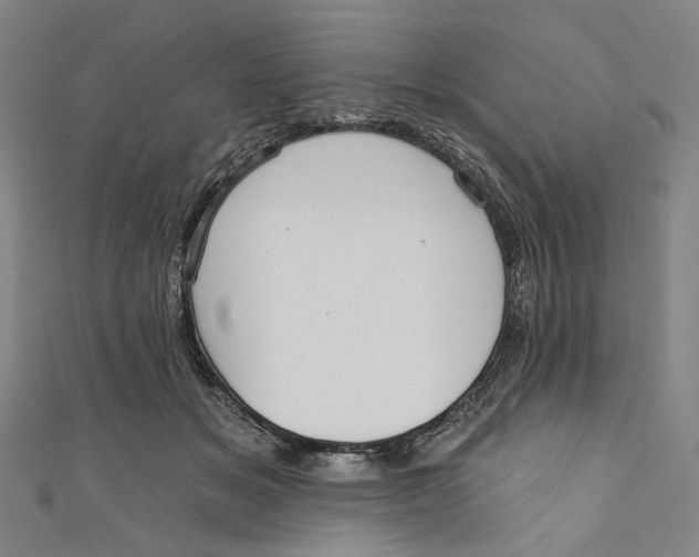 X0000111200509200907221133