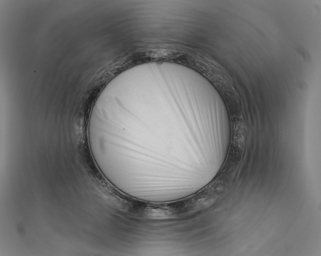 X0000111200510200907221133