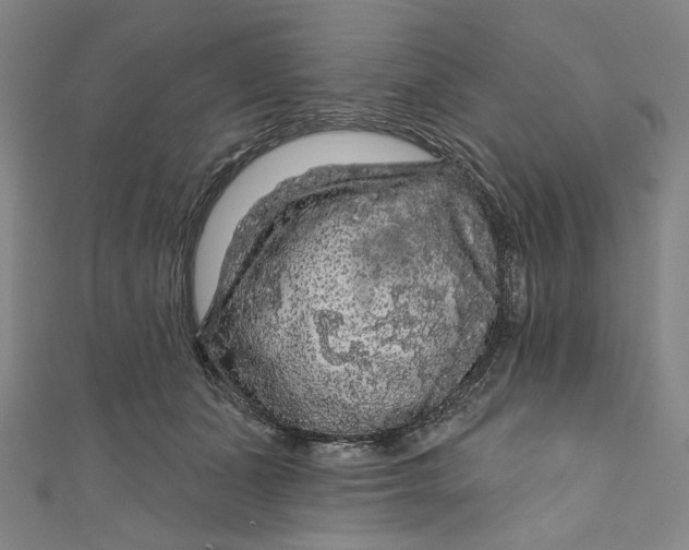 X0000111200511200907221133