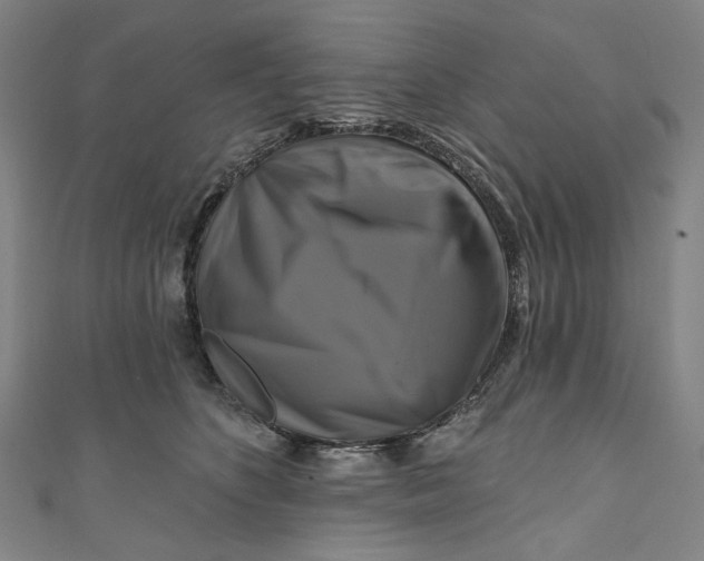 X0000111200516200907221133