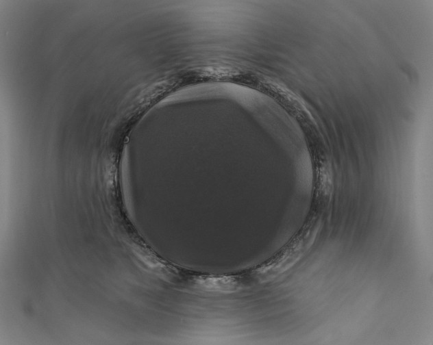 X0000111200517200907221133