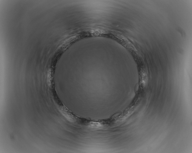 X0000111200519200907221133