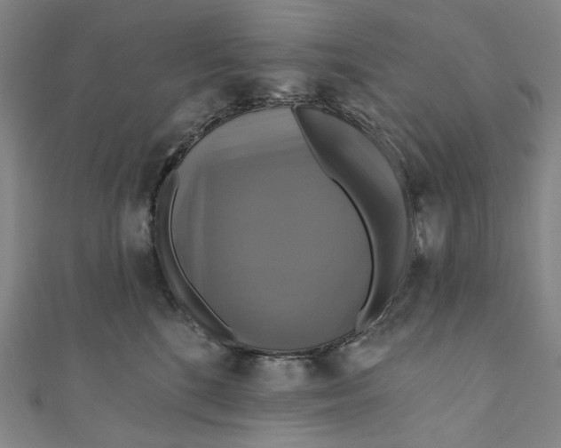 X0000111200520200907221133