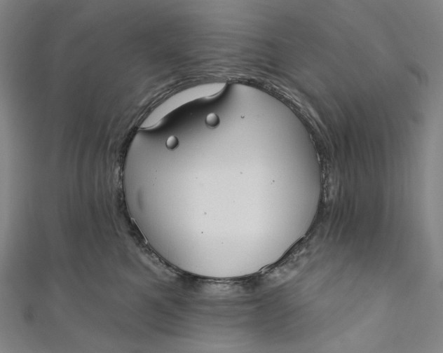 X0000111200521200907221133