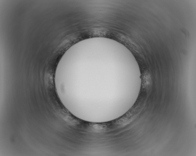 X0000111200522200907221133