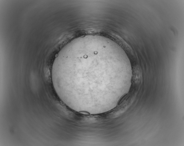 X0000111200523200907221133