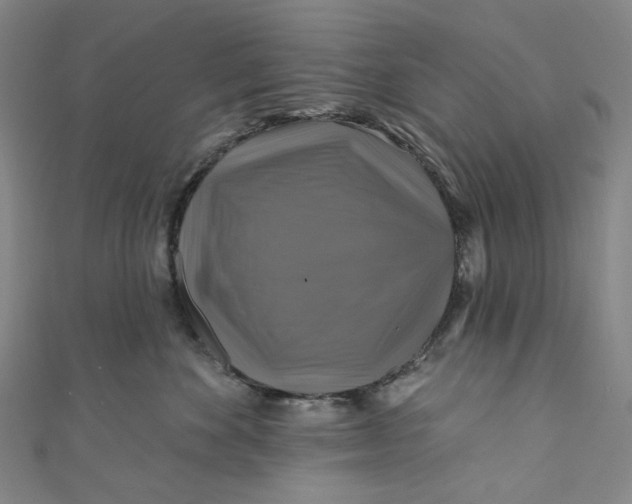 X0000111200524200907221133