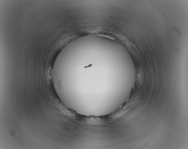 X0000111200525200907221132