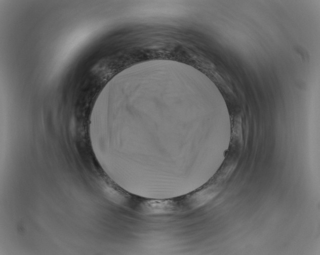 X0000111200526200907221132