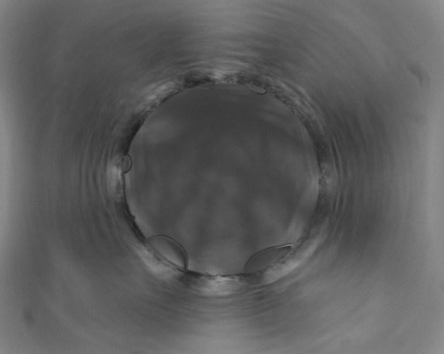 X0000111200527200907221132