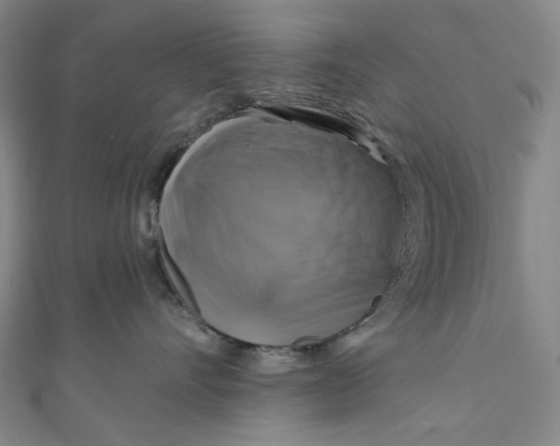 X0000111200528200907221132