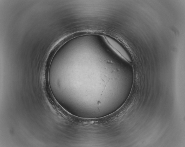 X0000111200532200907221132