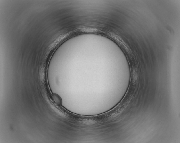 X0000111200533200907221132