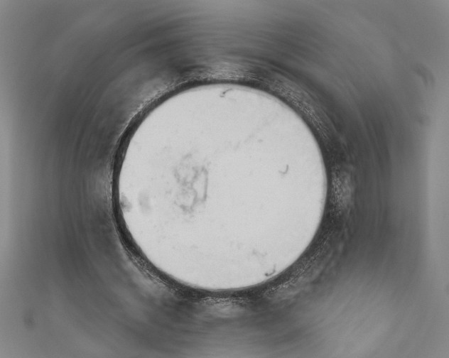 X0000111200534200907221132