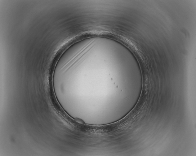 X0000111200535200907221132