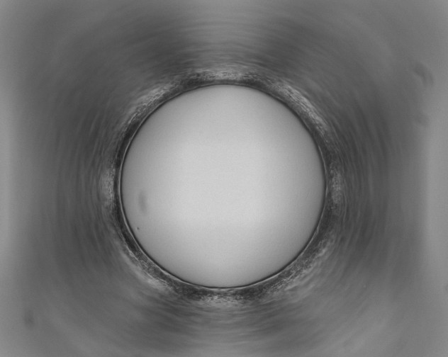 X0000111200537200907221132