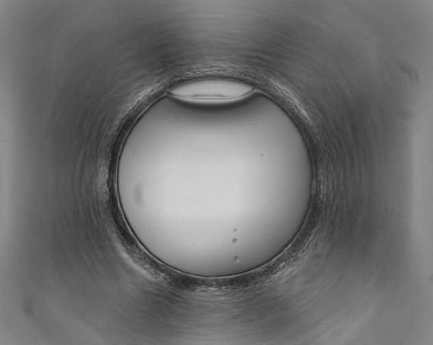 X0000111200538200907221132