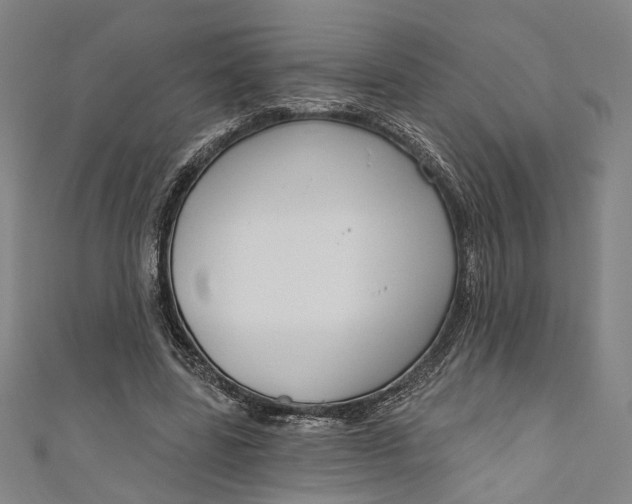 X0000111200539200907221132