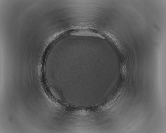 X0000111200540200907221132