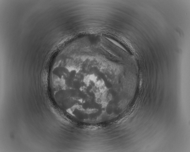 X0000111200542200907221132