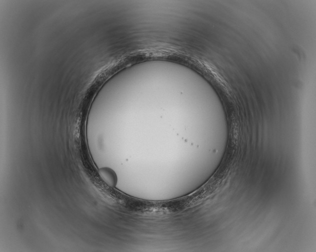 X0000111200543200907221132