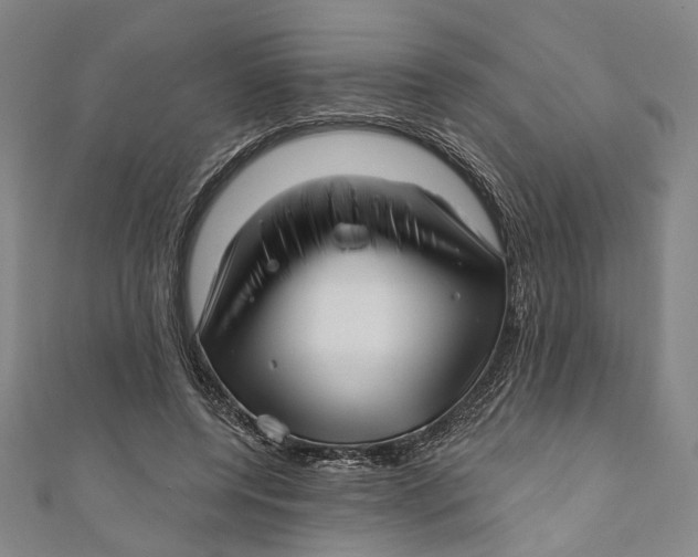 X0000111200544200907221132