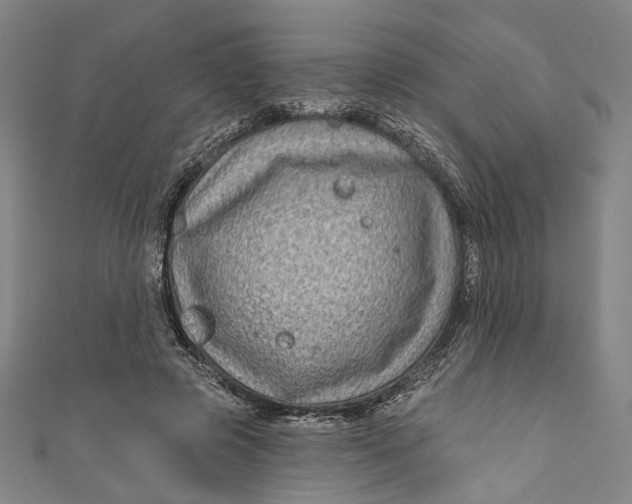 X0000111200545200907221132