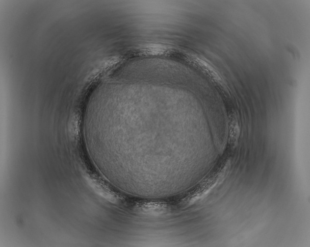 X0000111200546200907221132