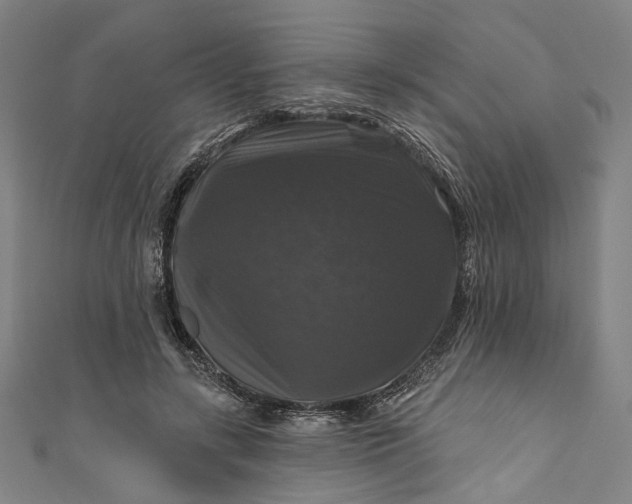 X0000111200547200907221132