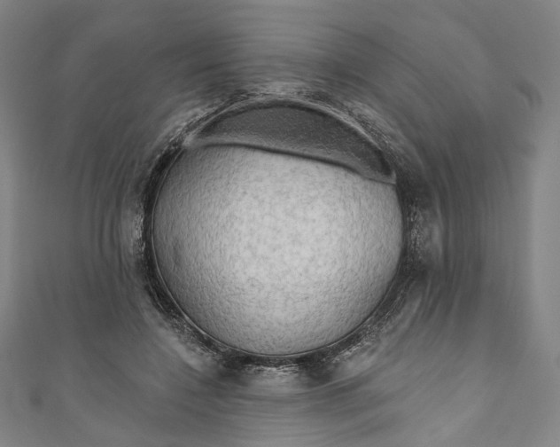 X0000111200548200907221132