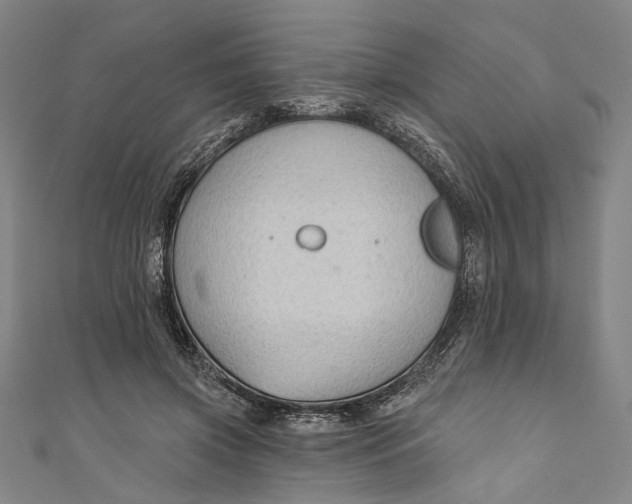 X0000111200549200907221132