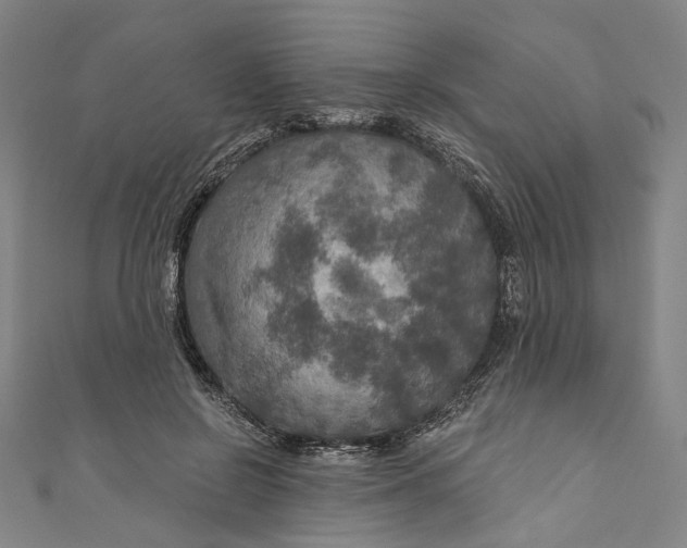 X0000111200550200907221132