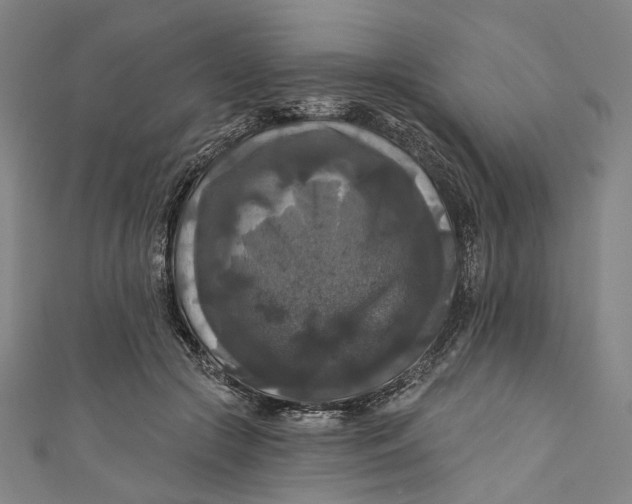 X0000111200553200907221132