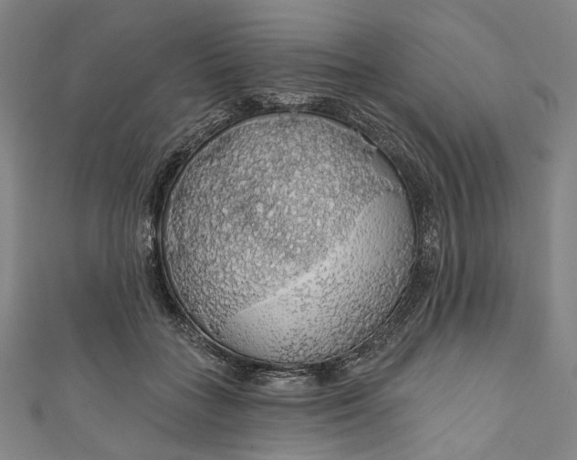 X0000111200555200907221132