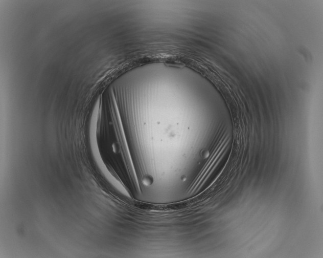 X0000111200556200907221132