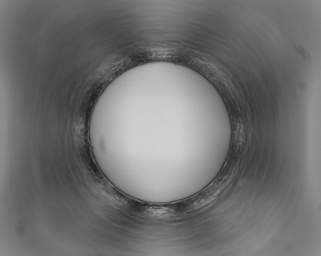 X0000111200557200907221132