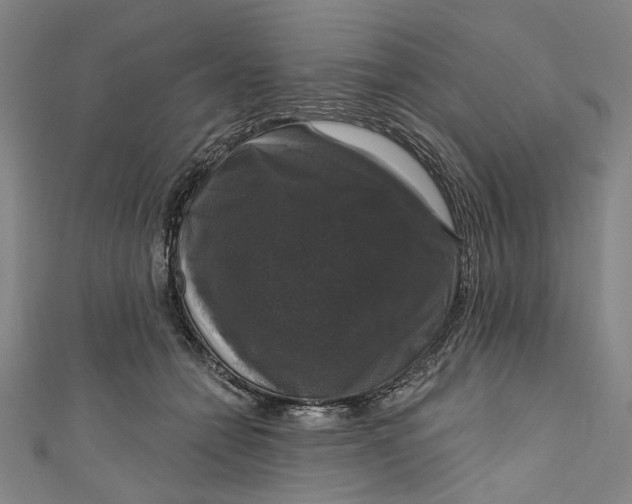 X0000111200558200907221132