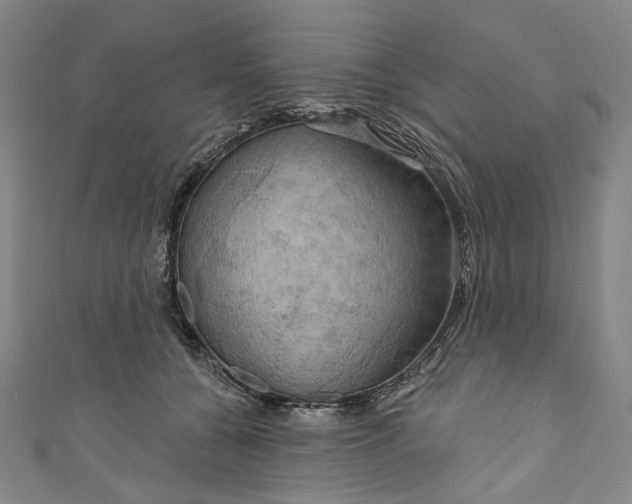 X0000111200560200907221132