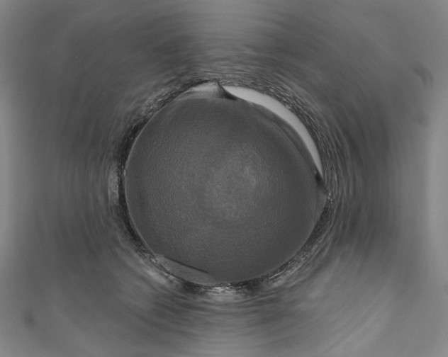 X0000111200562200907221132