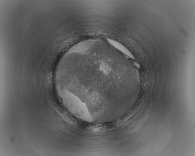 X0000111200563200907221132