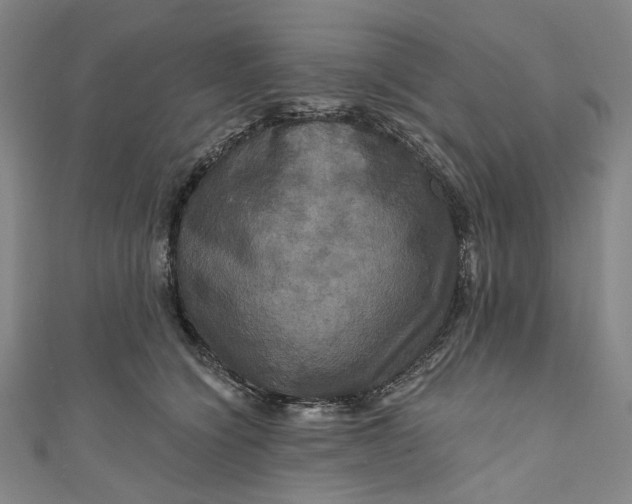 X0000111200564200907221132