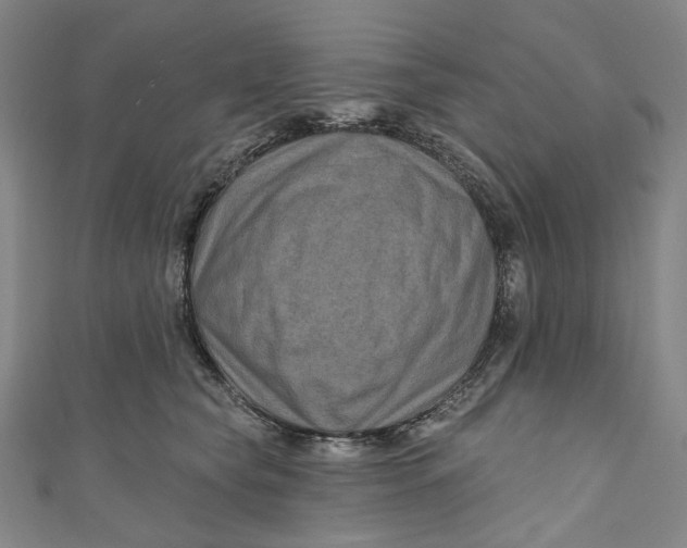 X0000111200565200907221132