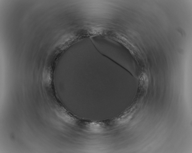 X0000111200566200907221132