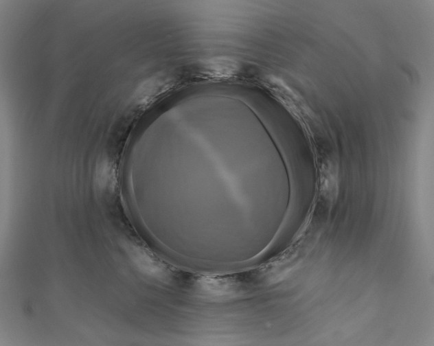 X0000111200568200907221132