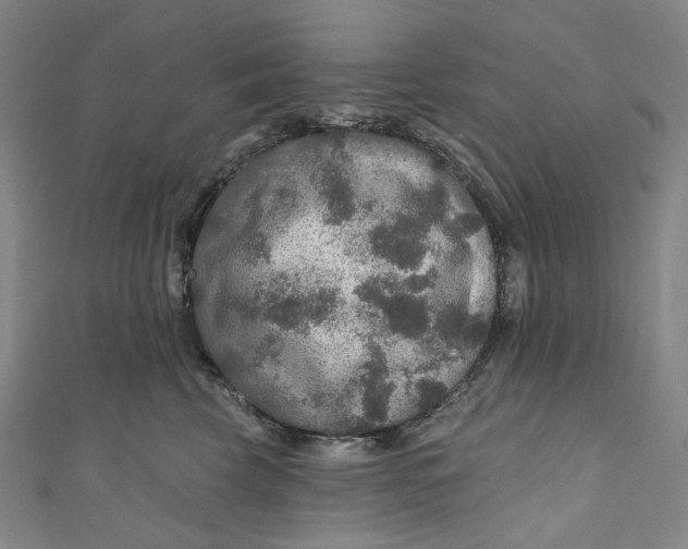 X0000111200569200907221132